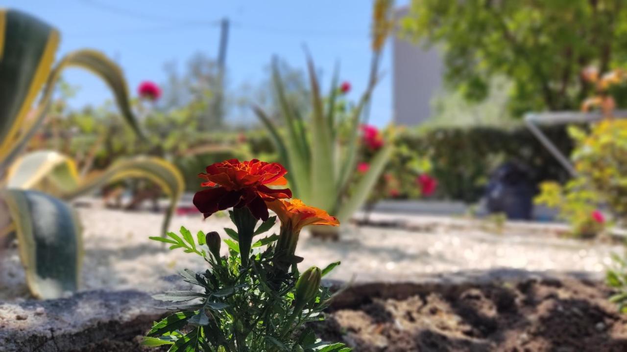 Elina House And Garden Villa Nikiti  Luaran gambar