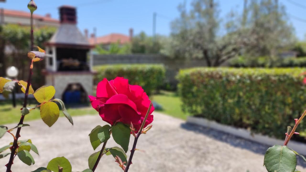 Elina House And Garden Villa Nikiti  Luaran gambar