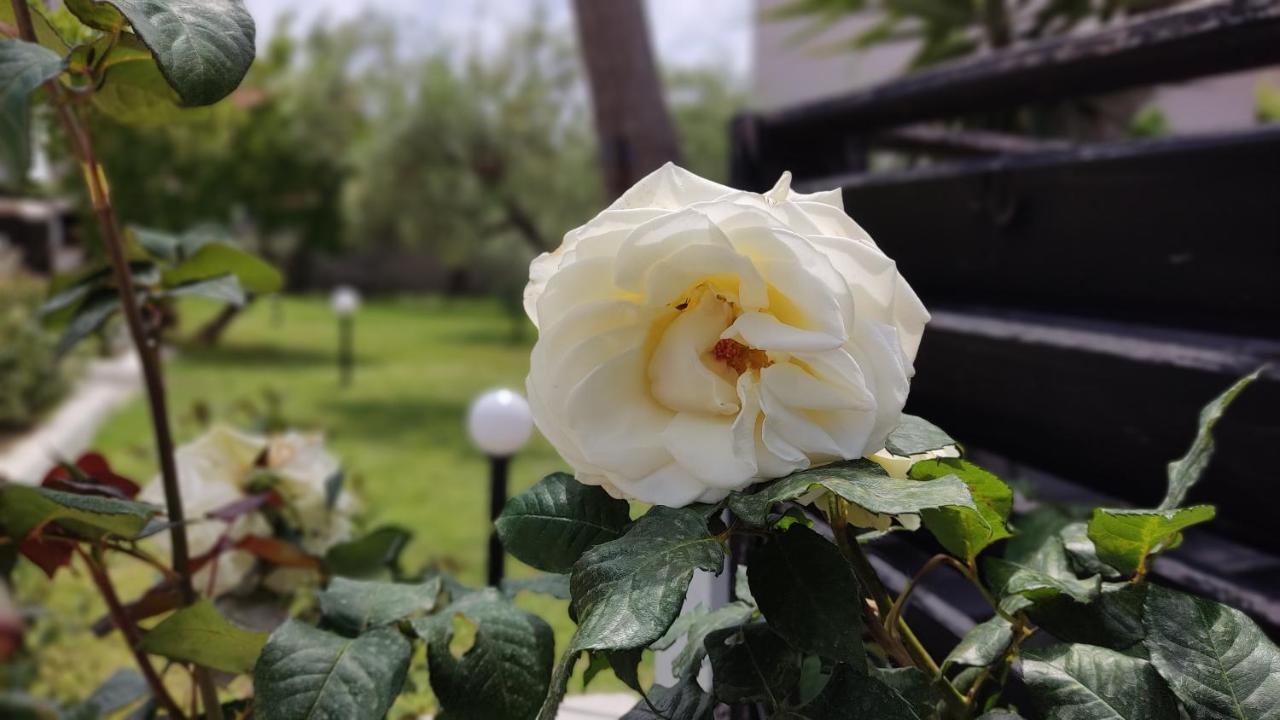 Elina House And Garden Villa Nikiti  Luaran gambar